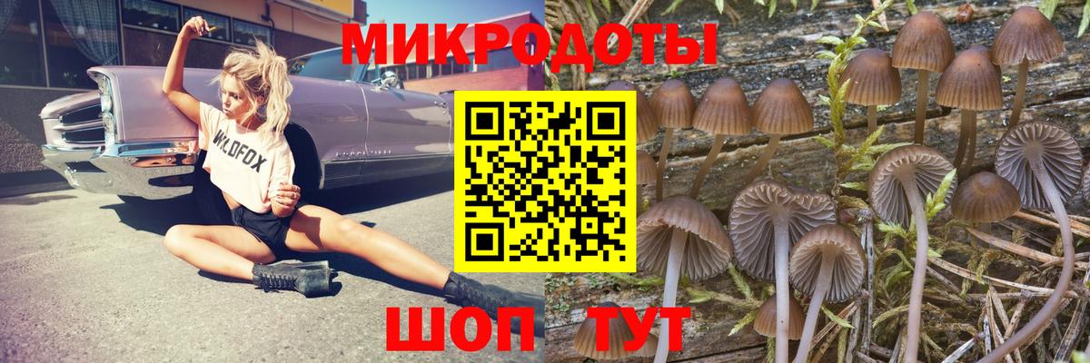 Псилоцибиновые грибы Psilocybe  Галлюциногенные грибы GOLDEN TEACHER  Йошкар-Ола  Вход с VPN 